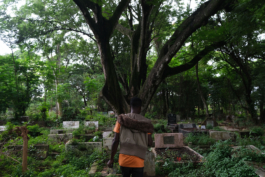 Just another WordPress site