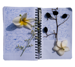 Just another WordPress site